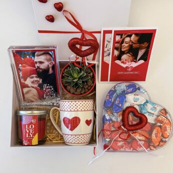 Spellbinding Valentine’s Day Gift Hamper for wife with Exclusive Chocolates, Live Succulent, Ceramic Mug, and More