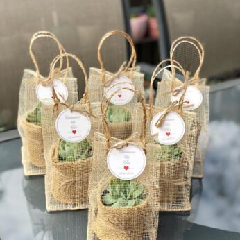 Elegant succulent indoor plant with jute bag for wedding return gift (H 11 cm x W 7 cm) x 30 pcs