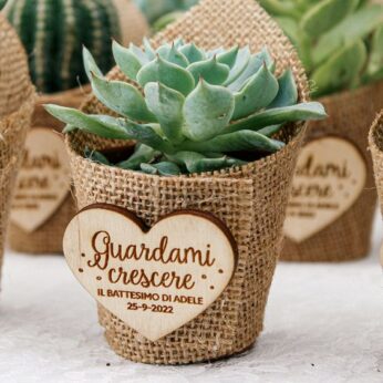 Stunning succulent plant ideas for return gifts (H 8 cm x W 8 cm) x 30 Pcs