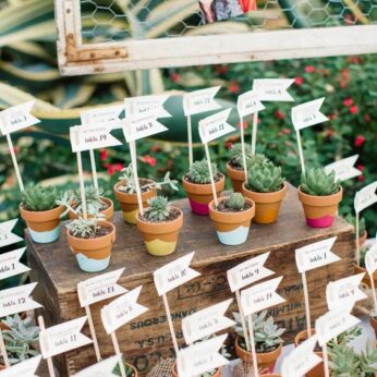 Thoughtful wedding return gifts ideas with personalize text flags in an indoor plant (30 Pcs)