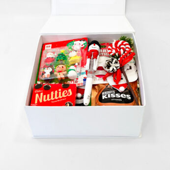 Joyful Christmas Gift Hamper for Kids | Festive Surprises & Sweet Treats